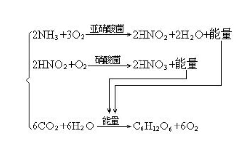 化工工艺与技术：开启现代工业的全新篇章
